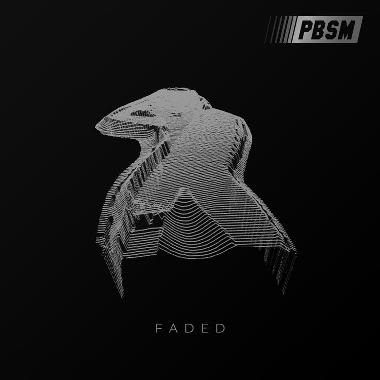 PBSM's avatar image
