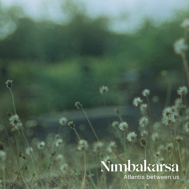 Nimbakarsa's avatar image