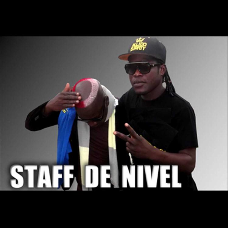 Staff de Nível's avatar image
