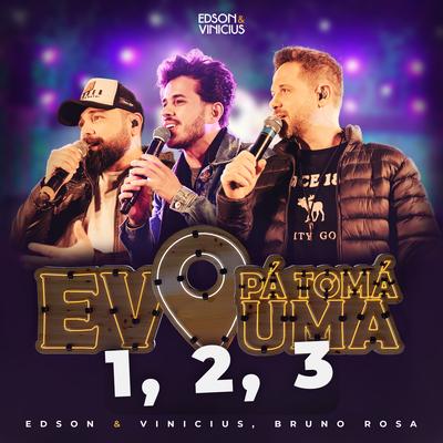 1, 2, 3 (Ao Vivo) By Edson e Vinicius, Bruno Rosa's cover