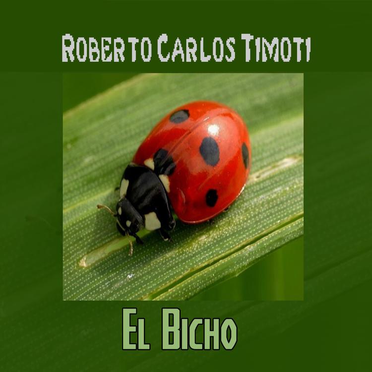 Roberto Carlos Timoti's avatar image