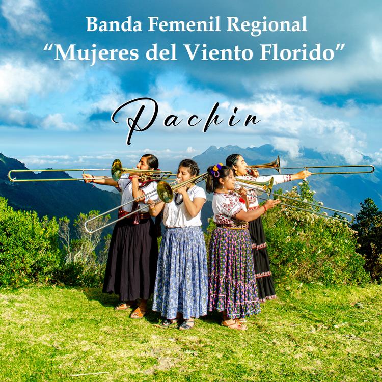 Banda Femenil Regional "Mujeres del Viento Florido"'s avatar image