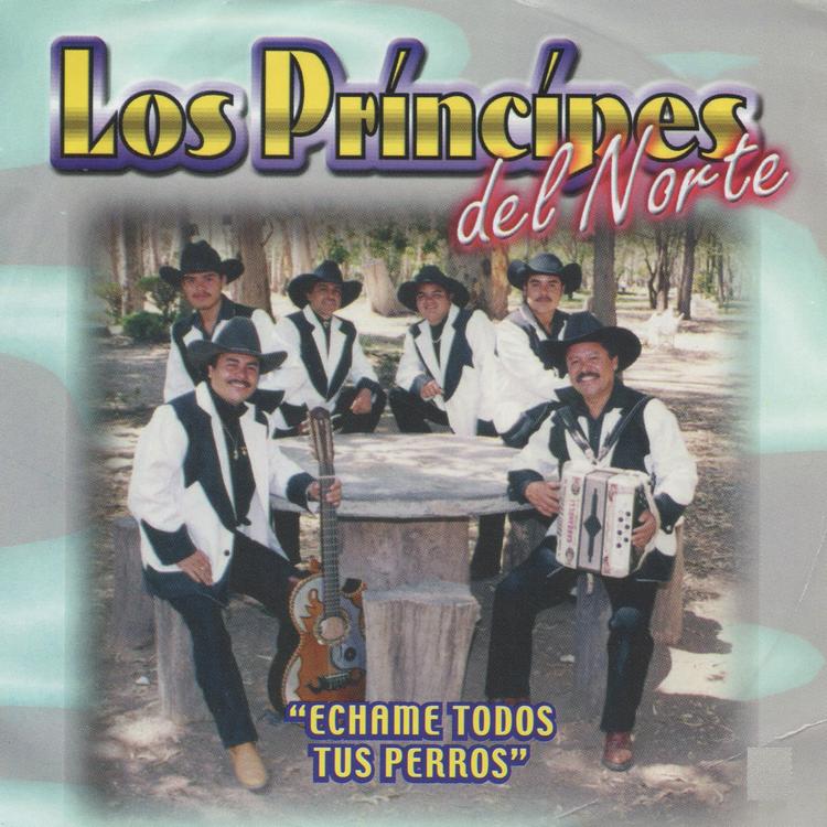 Los Principes del Norte's avatar image