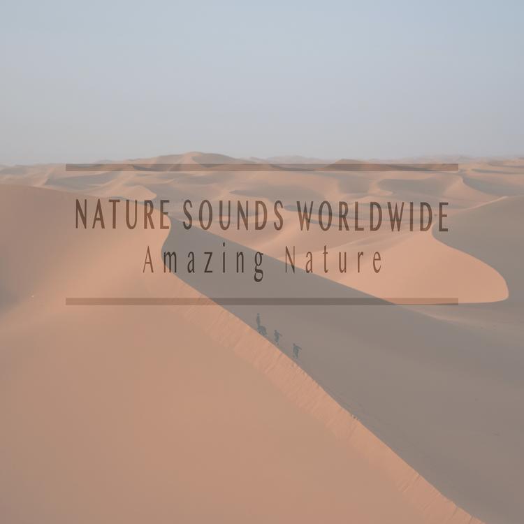 Nature Sounds Worldwide's avatar image