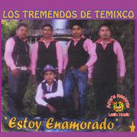 Los Tremendos De Temixco's avatar cover