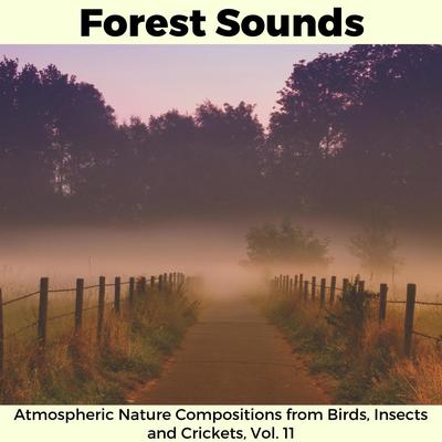 Ambient Melody of Summer Birds's cover