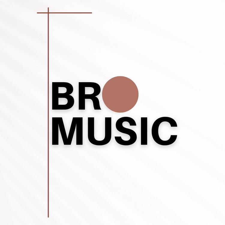 Bro Music's avatar image