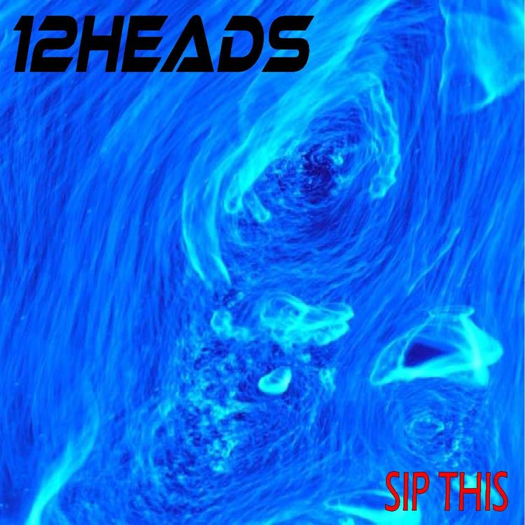 12heads's avatar image