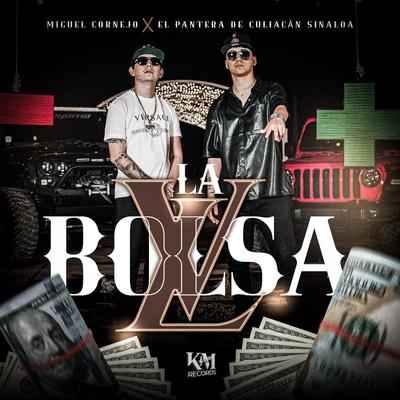 La Bolsa LV's cover