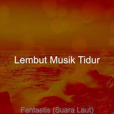 Lembut Musik Tidur's cover