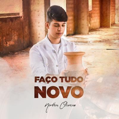 faço tudo novo's cover