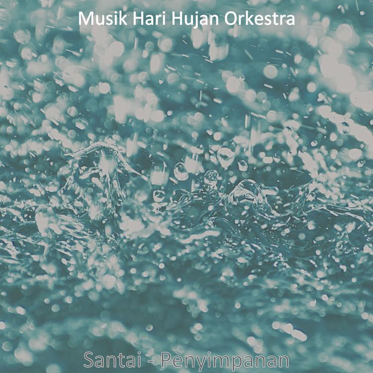 Musik Hari Hujan Orkestra's avatar image