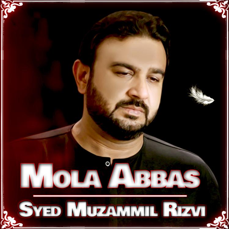 Syed Muzammil Rizvi's avatar image