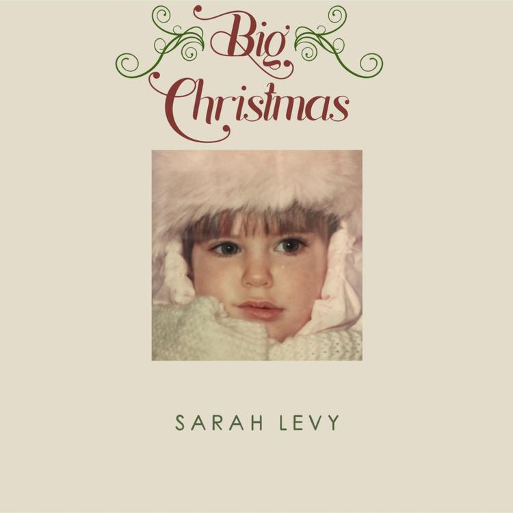 Sarah Levy's avatar image