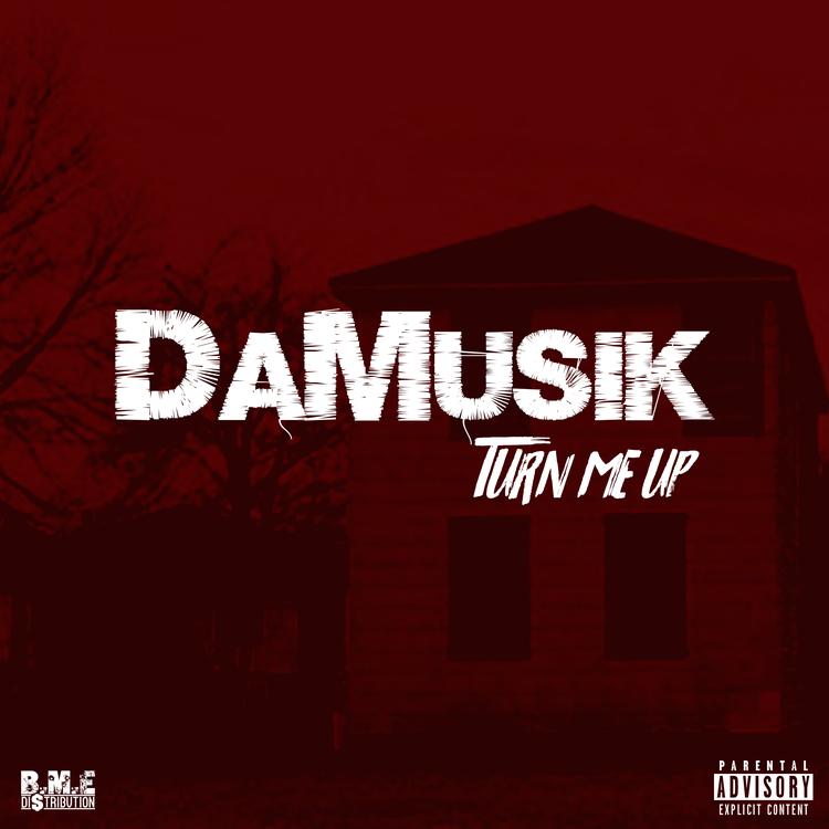 DaMusik's avatar image