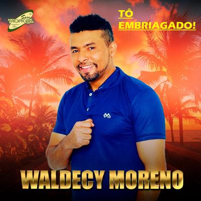 Tô Embriagado By Waldecy Moreno's cover