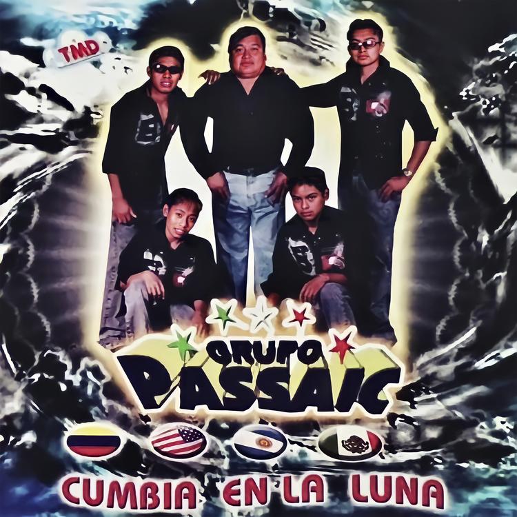 Grupo Passaic's avatar image