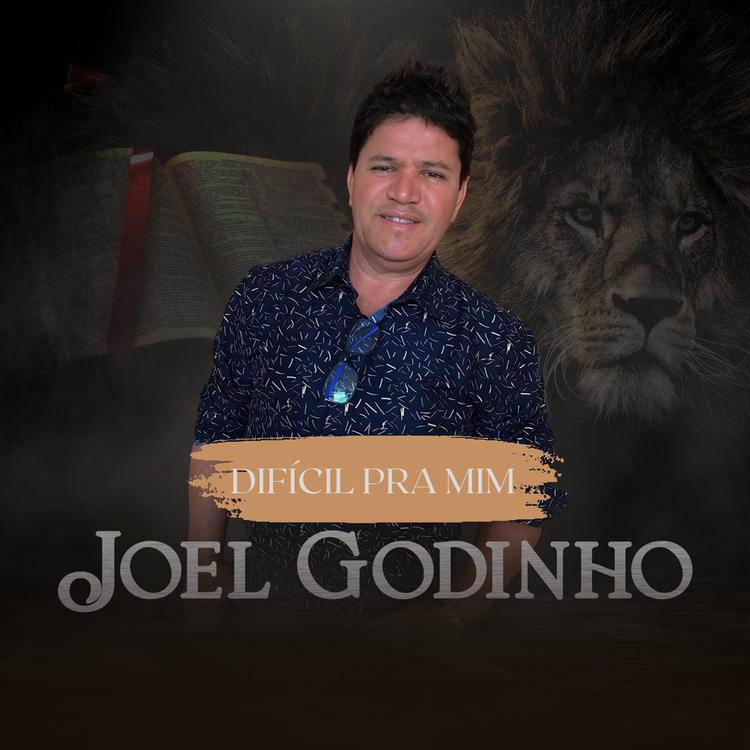 Joel Godinho's avatar image