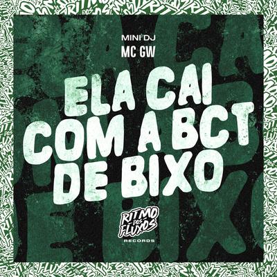 Ela Cai Com a Bct de Bixo By Mc Gw, Mini DJ's cover