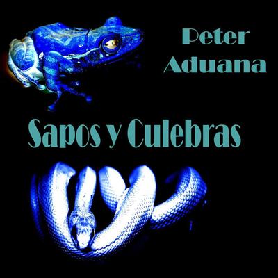 Sapos y Culebras's cover