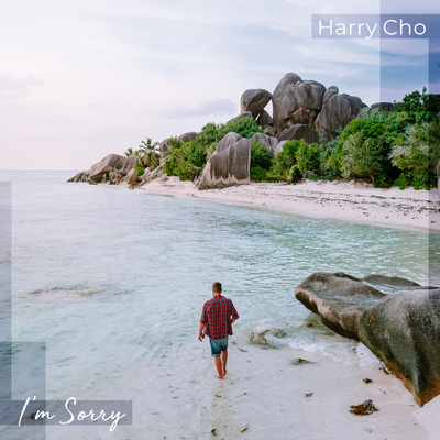 I'm Sorry By Harry Cho's cover