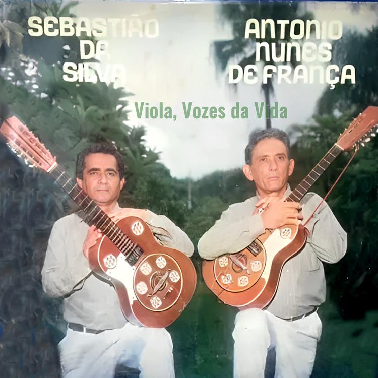 Sebastião da Silva e Antônio Nunes de França's avatar image