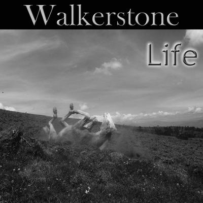Shame By Walkerstone's cover