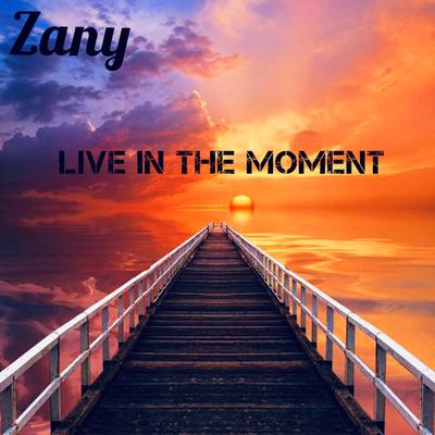 Zany (Live in the Moment)'s cover