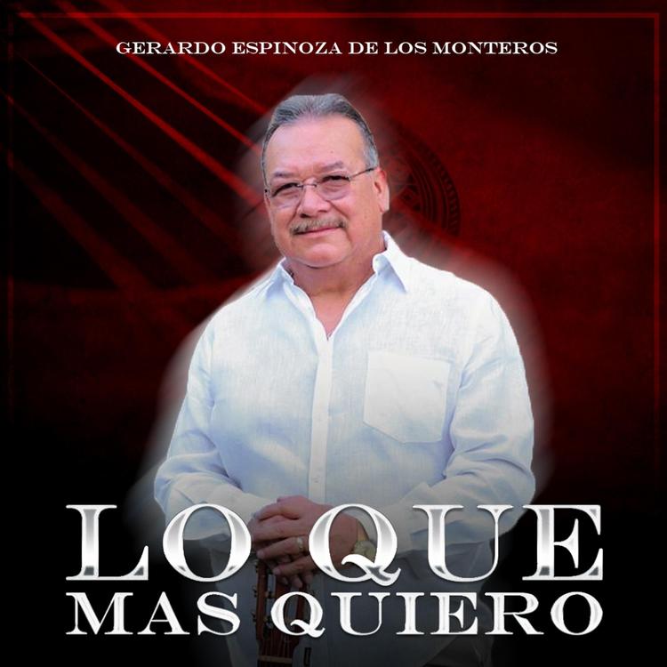 Gerardo Espinoza de los Monteros's avatar image