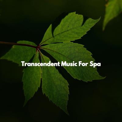 Transcendent Music For Spa's cover