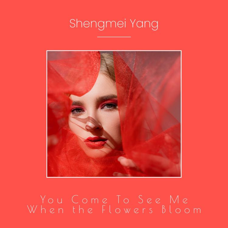 Shengmei Yang's avatar image