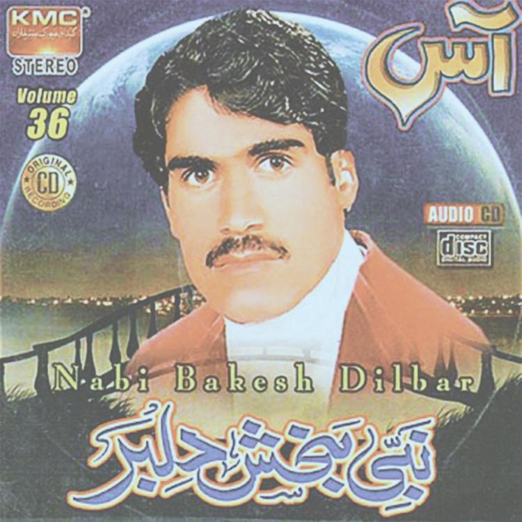 Nabi Baksh Dilber's avatar image