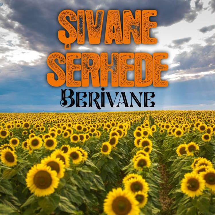 Şivane Serhede's avatar image