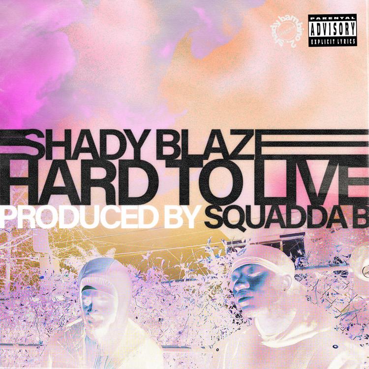 Shady Blaze's avatar image