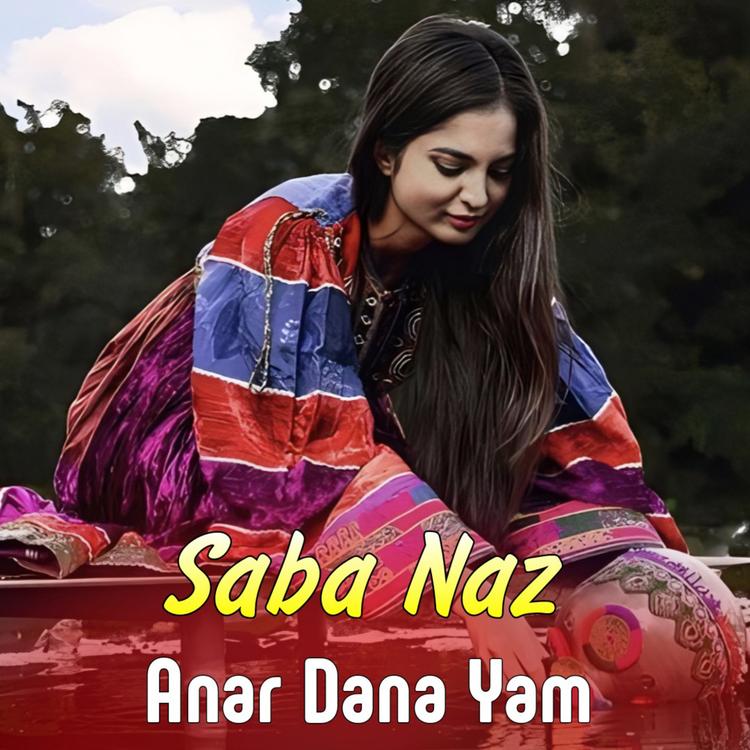Saba Naz's avatar image
