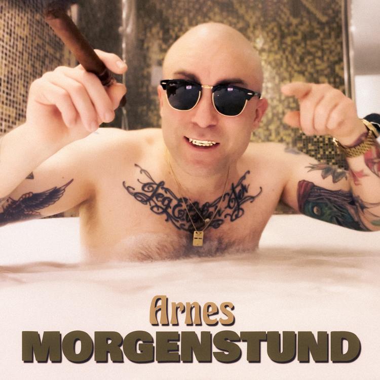 ARNES's avatar image