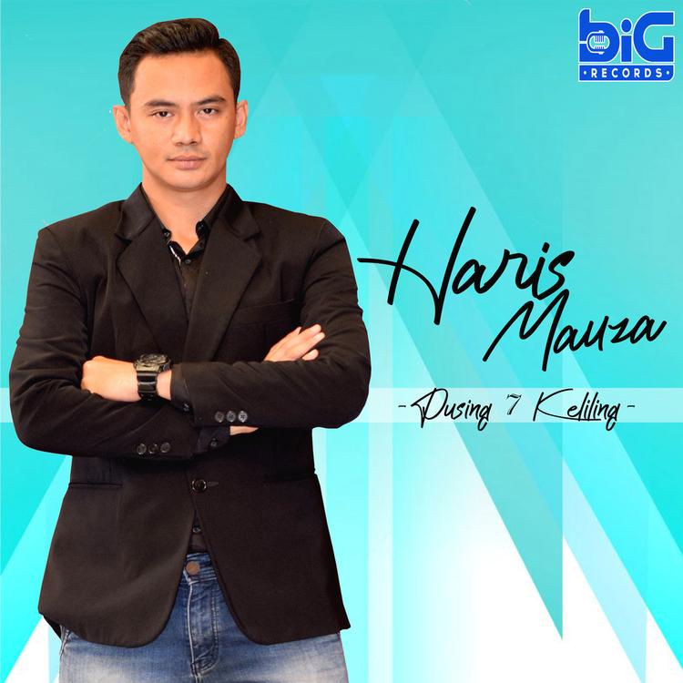 Haris Mauza's avatar image