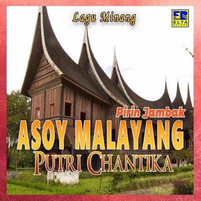 Satinggi Tinggi Tabang Bangau's cover