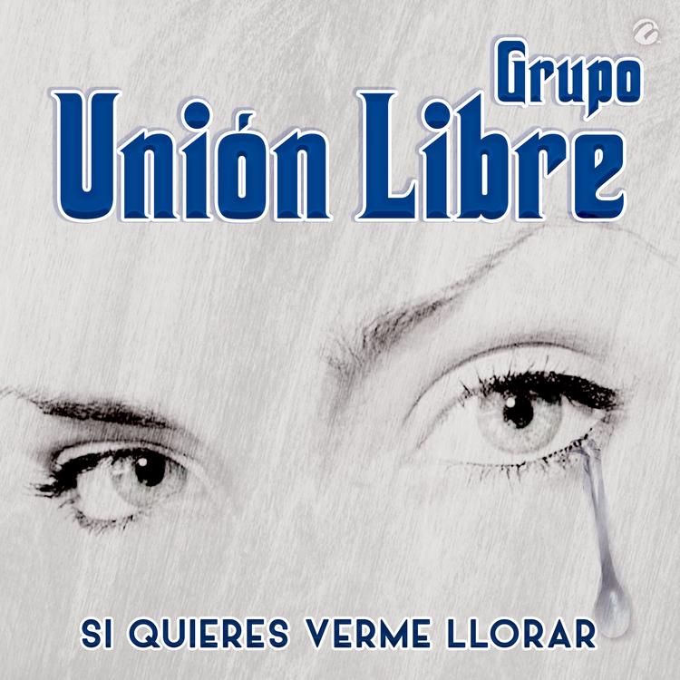 Grupo Unión Libre's avatar image