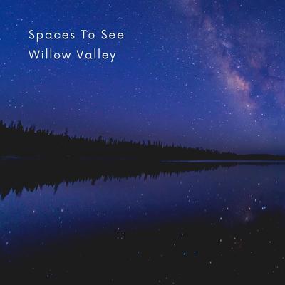 Dim Starlight By Willow Valley's cover