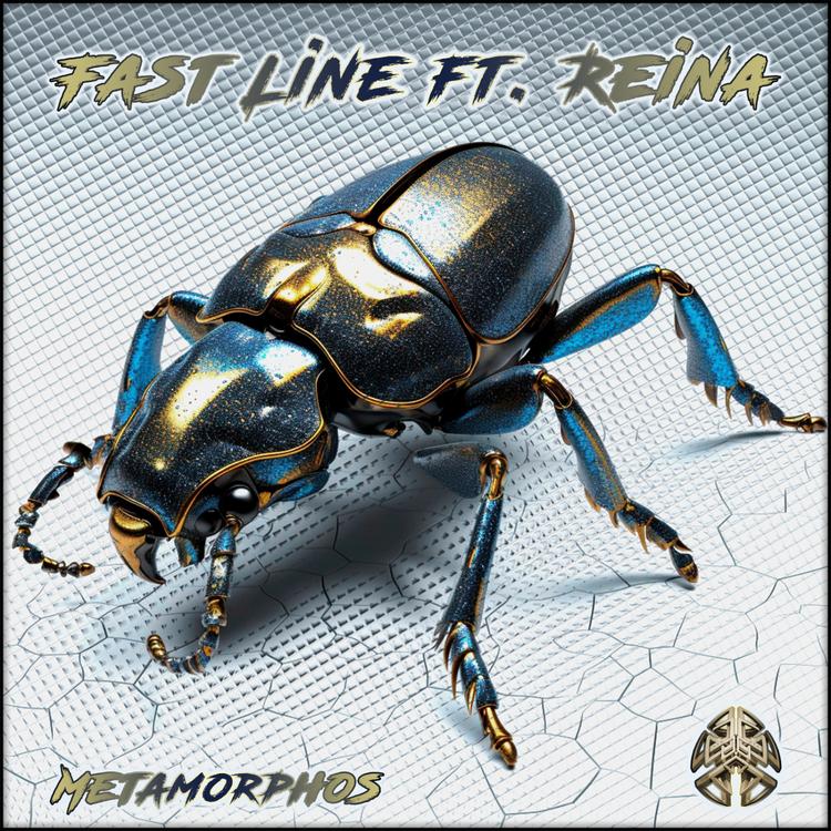 Fast Line's avatar image