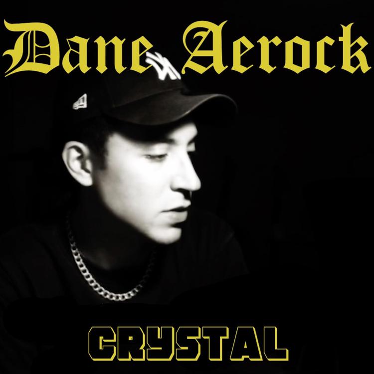 Dane Aerock's avatar image