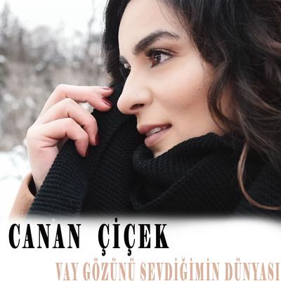 Vay Gözünü Sevdiğimin Dünyası's cover