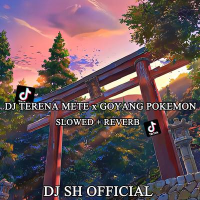 Dj Terena Mete x Goyang Pokemon Slow Reverb's cover