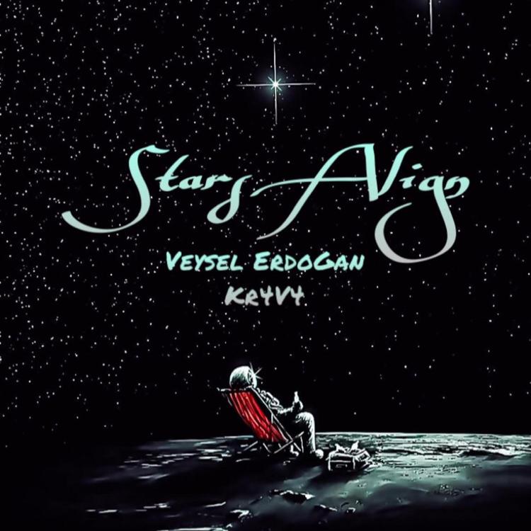 Veysel Erdogan's avatar image