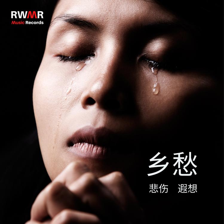 RW 阴晴圆缺's avatar image