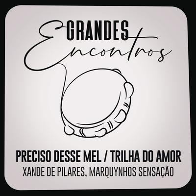 Preciso Desse Mel / Trilha do Amor By Grandes Encontros, Xande De Pilares, Marquynhos Sensação's cover