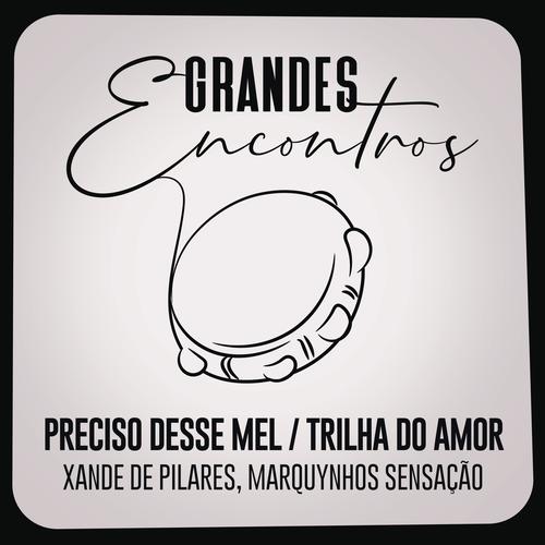 Grandes Encontros - Rádio Mania's cover