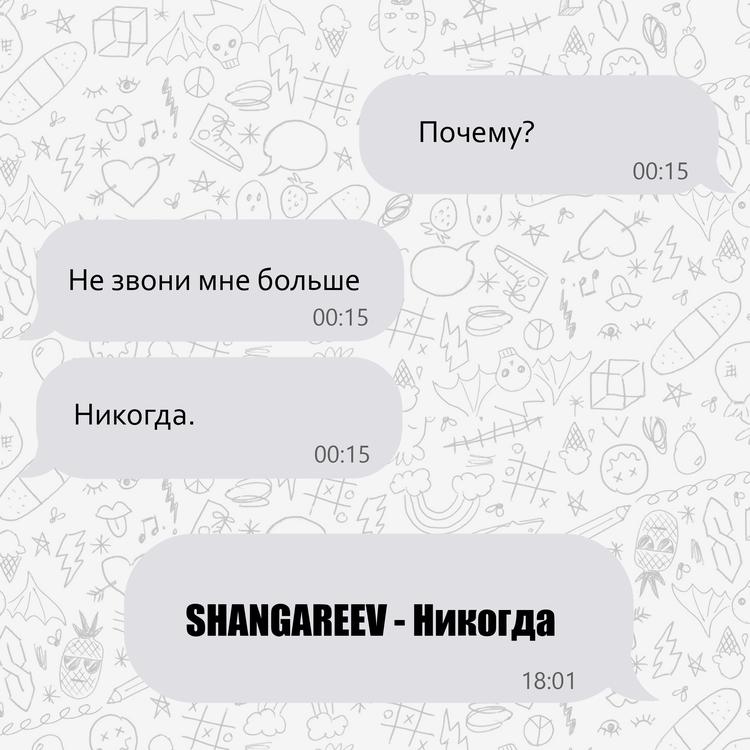 SHANGAREEV's avatar image