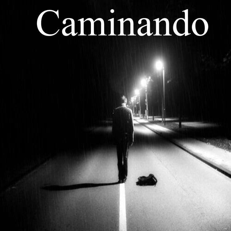 Camino's avatar image